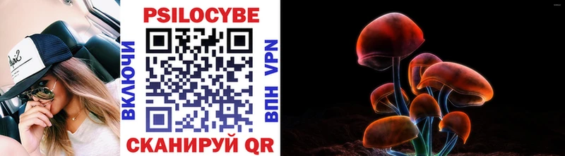 omg ссылки  Новозыбков  Псилоцибиновые грибы мицелий 