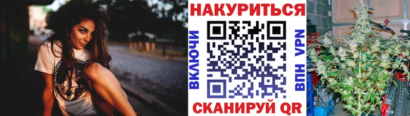 цена наркотик  МЕГА рабочий сайт  МАРИХУАНА сатива  Новозыбков 